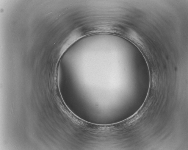 X0000060741378200511171046