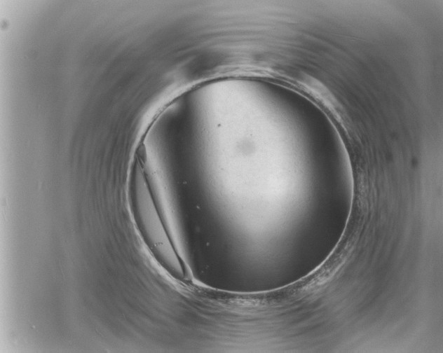 X0000060741379200511171046