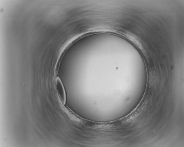 X0000060741380200511171046