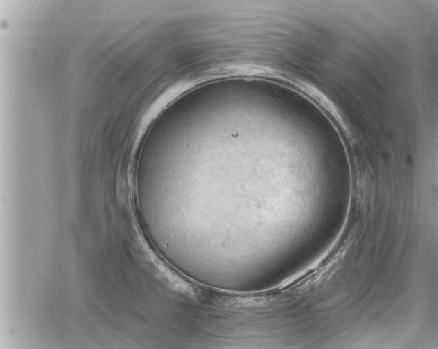 X0000060741381200511171046