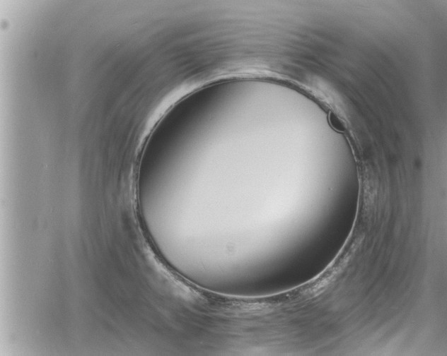 X0000060741382200511171046