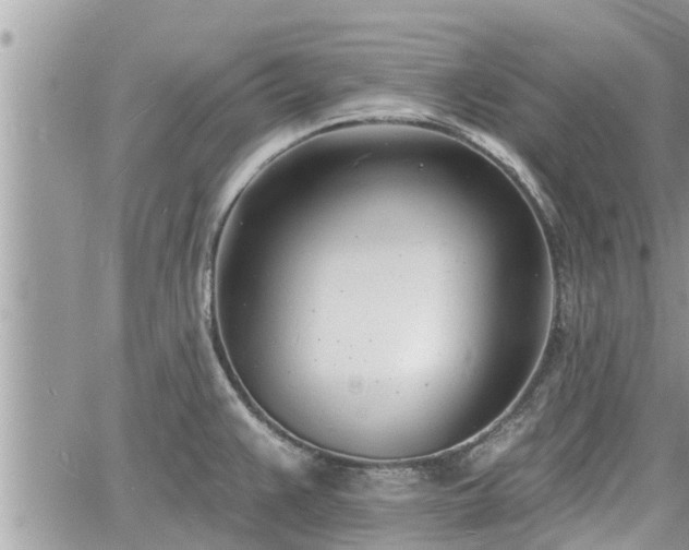 X0000060741383200511171046