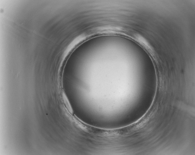 X0000060741384200511171046