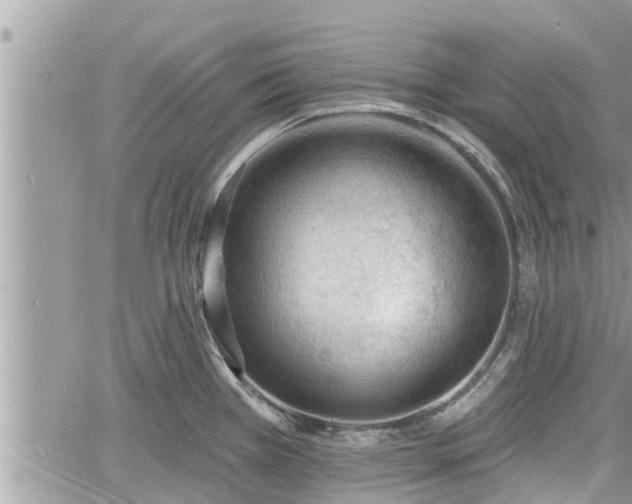 X0000060741385200511171046