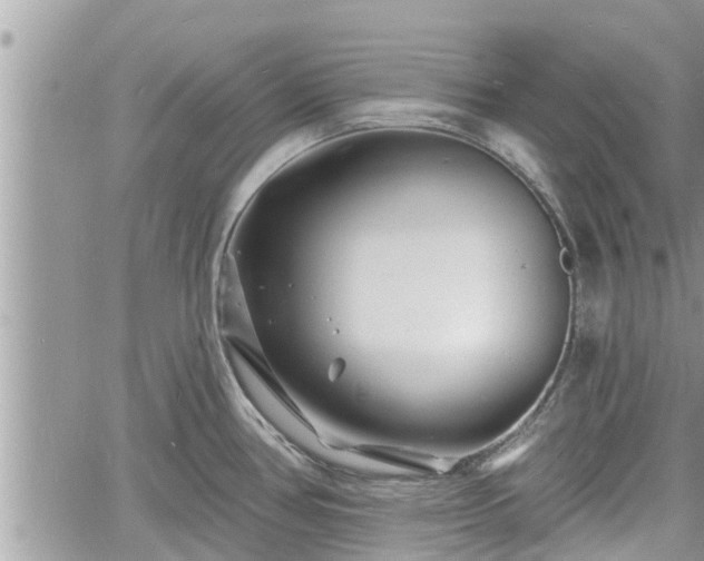 X0000060741386200511171046