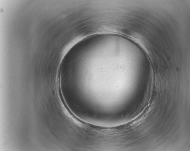 X0000060741387200511171046