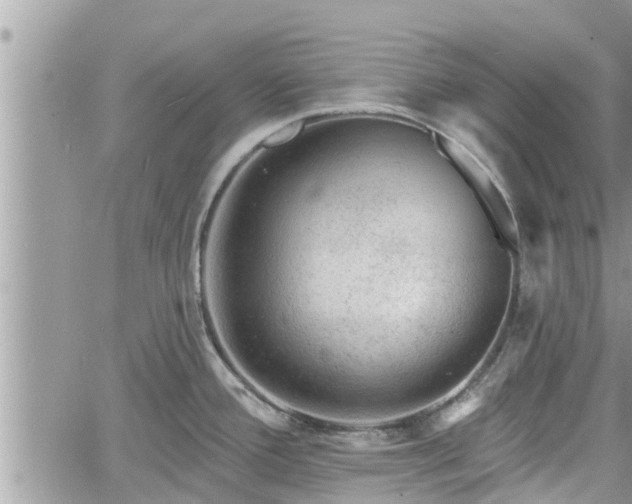 X0000060741388200511171046