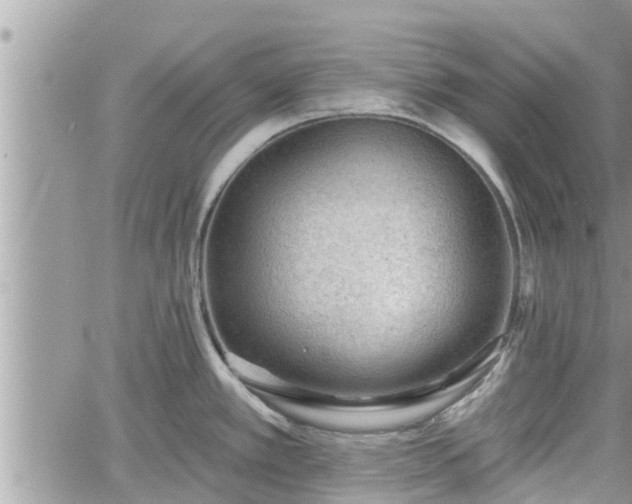 X0000060741389200511171046