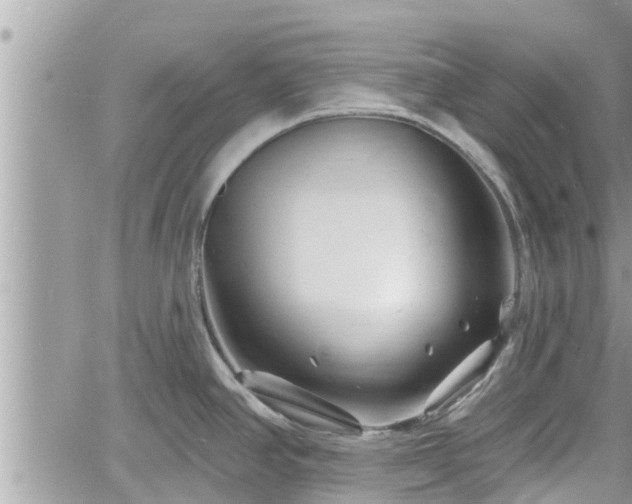 X0000060741390200511171046