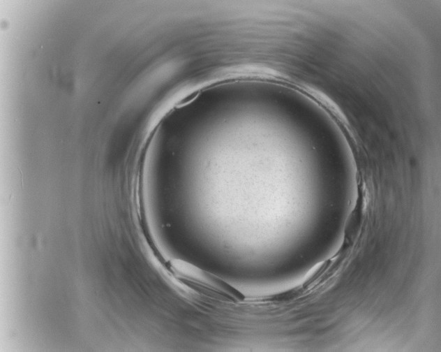 X0000060741391200511171046