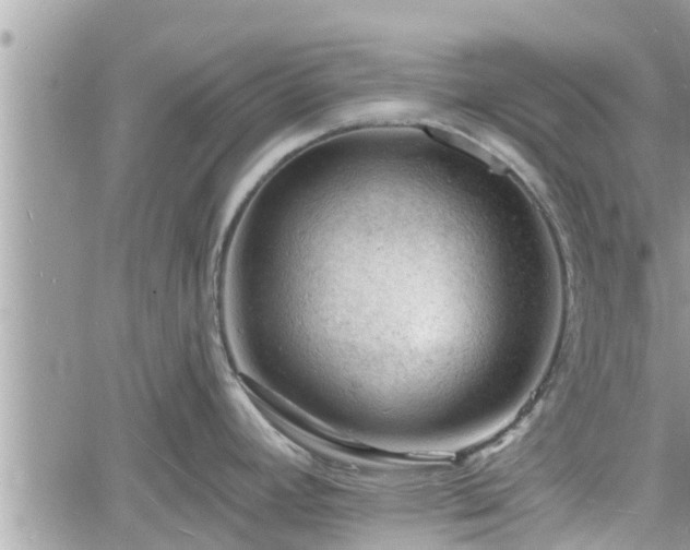 X0000060741392200511171046