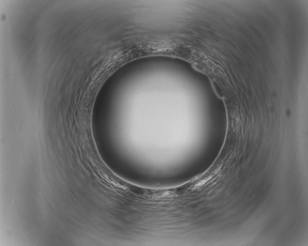 X0000060741393200511171045