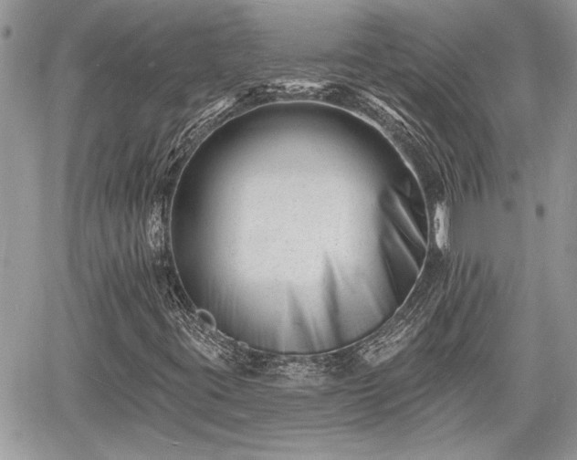 X0000060741395200511171045