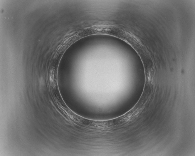 X0000060741396200511171045