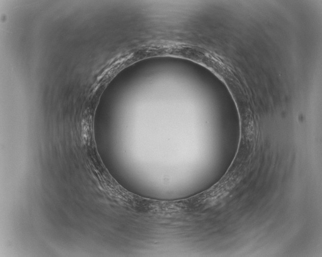 X0000060741397200511171045