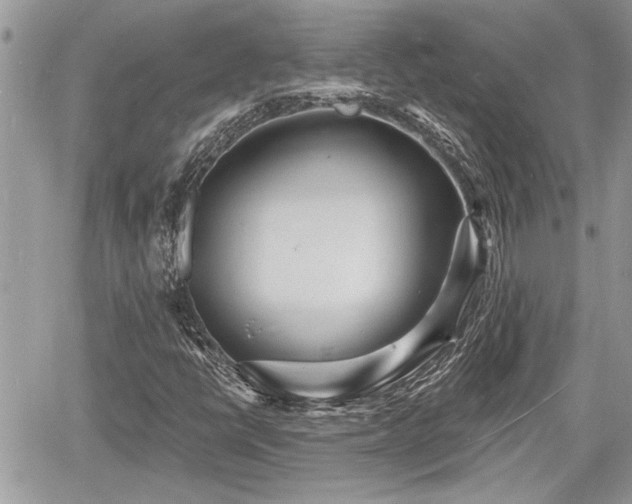 X0000060741398200511171045