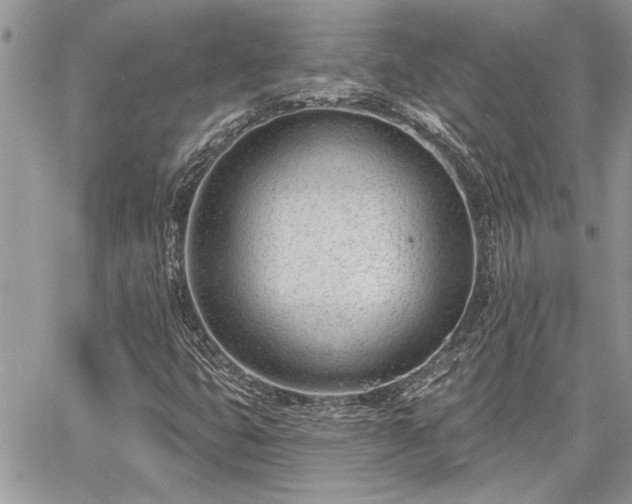 X0000060741399200511171045