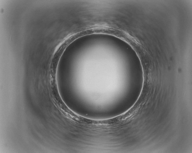 X0000060741400200511171045