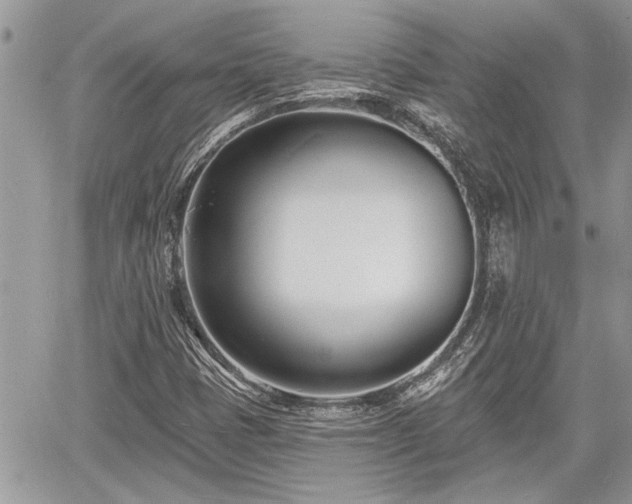 X0000060741401200511171045