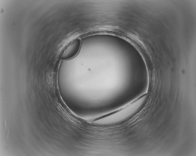 X0000060741404200511171045