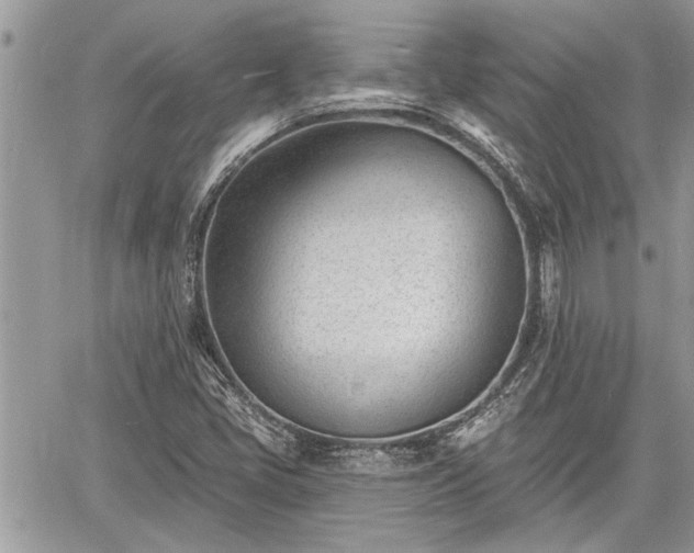 X0000060741405200511171045