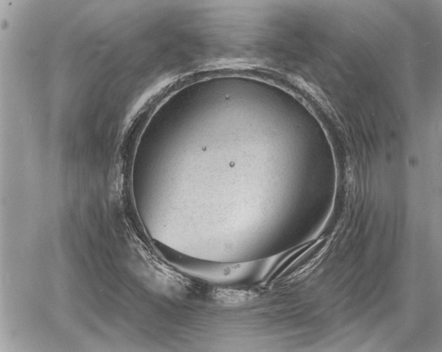 X0000060741406200511171045