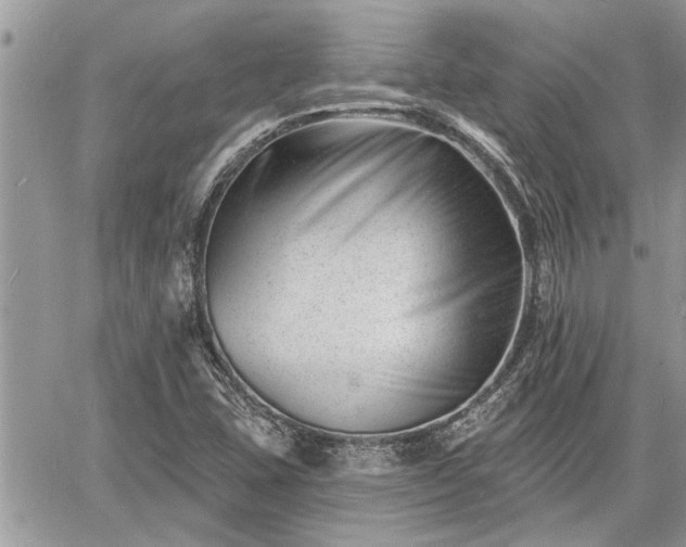 X0000060741407200511171045