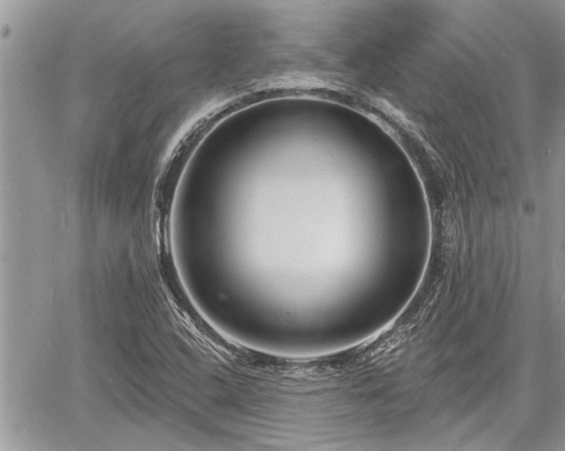 X0000060741408200511171045