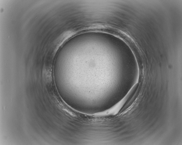 X0000060741409200511171045