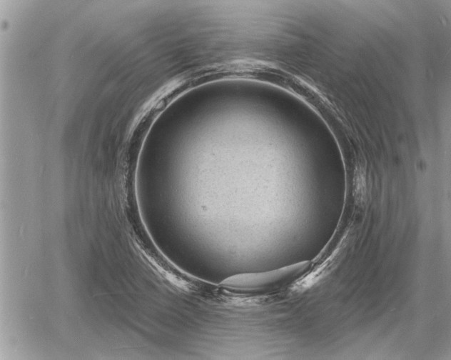 X0000060741410200511171045