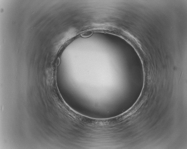 X0000060741411200511171045