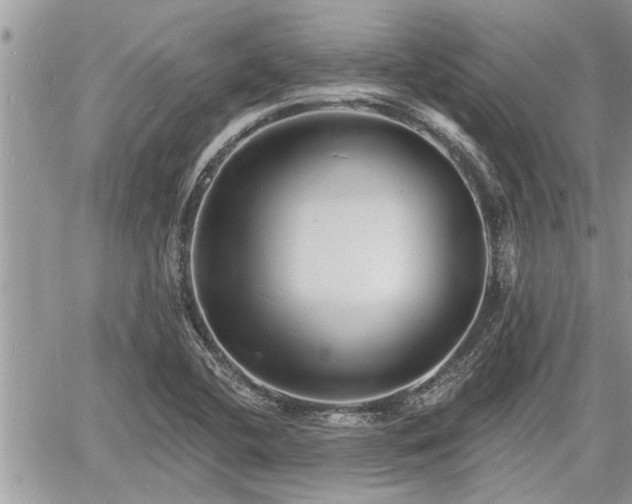 X0000060741412200511171045