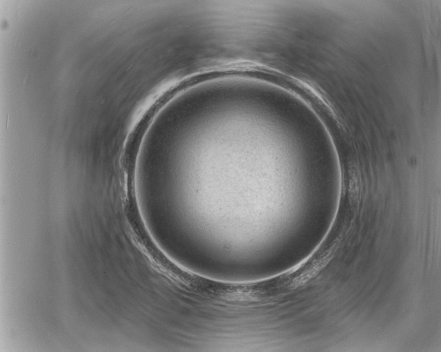 X0000060741414200511171045