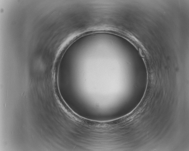 X0000060741416200511171046