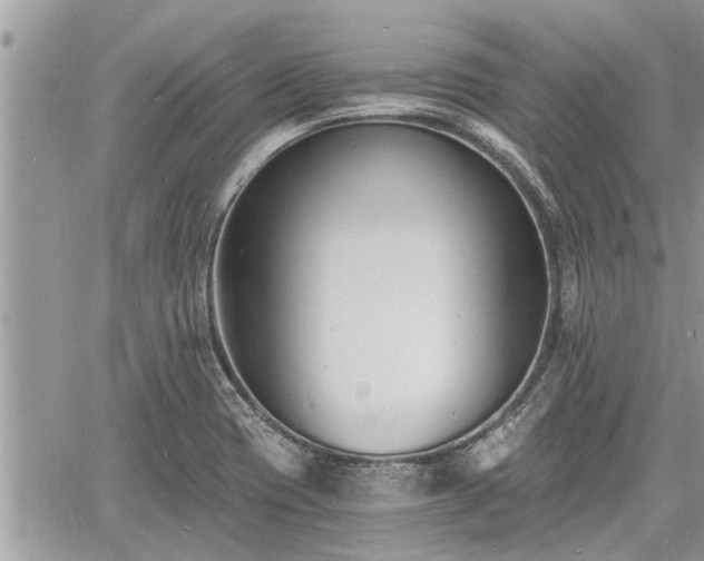 X0000060741417200511171046