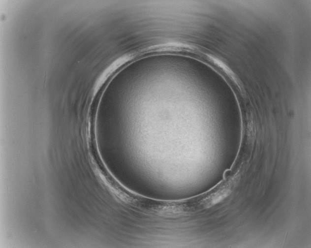 X0000060741418200511171046