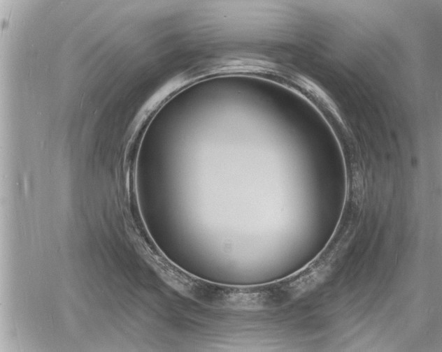 X0000060741419200511171046