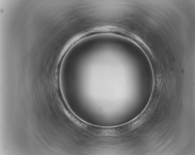 X0000060741421200511171046