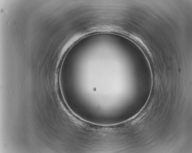 X0000060741424200511171046