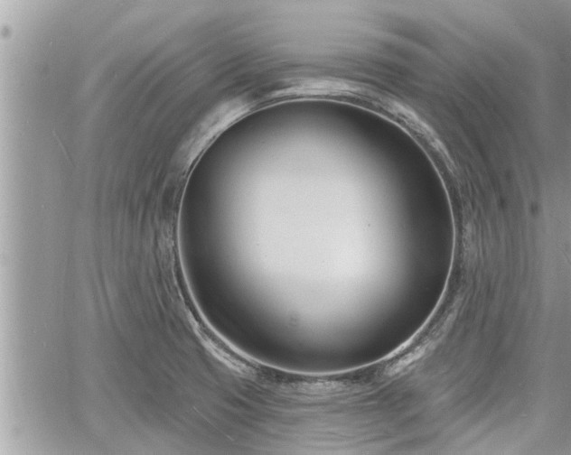 X0000060741425200511171046