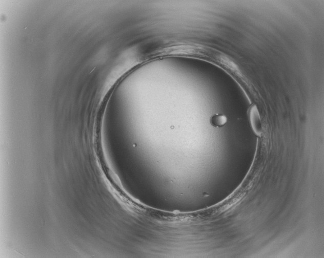 X0000060741426200511171046