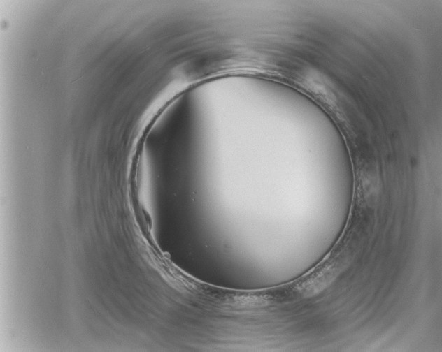 X0000060741427200511171046