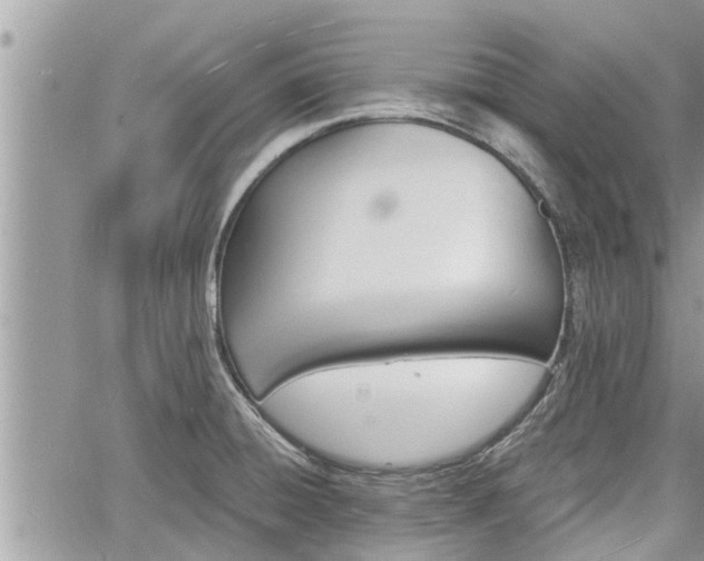 X0000060741428200511171046