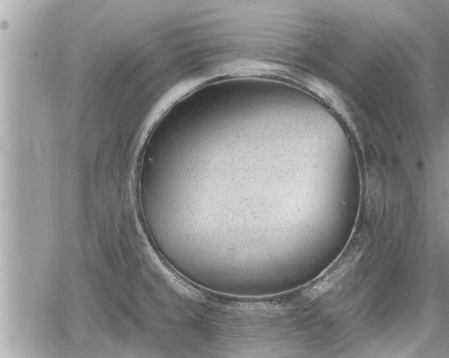 X0000060741429200511171046