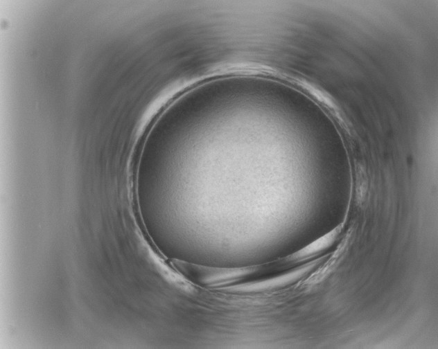 X0000060741430200511171046