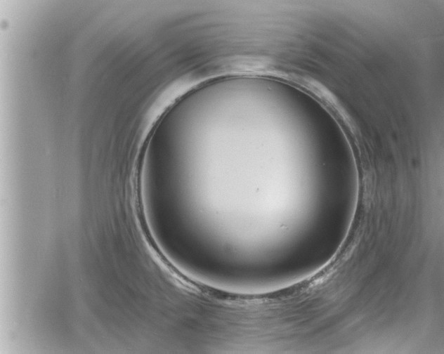 X0000060741432200511171046