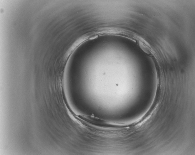 X0000060741433200511171046