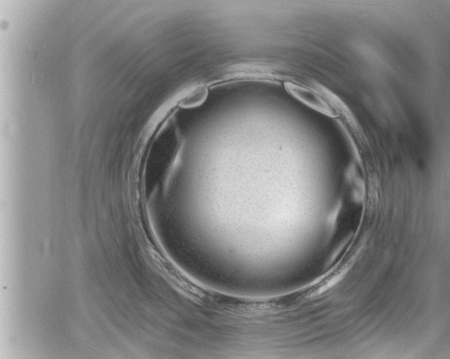 X0000060741435200511171046