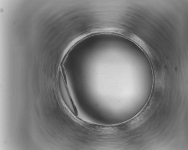 X0000060741436200511171046