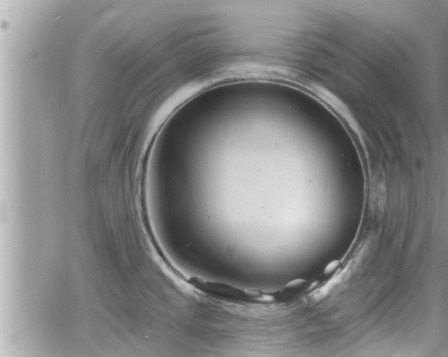 X0000060741437200511171046